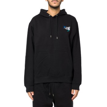 Felpa con cappuccio Off Piste Embroidered The North Face