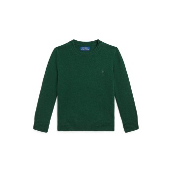 Maglia in lana a girocollo Polo Ralph Lauren bambino