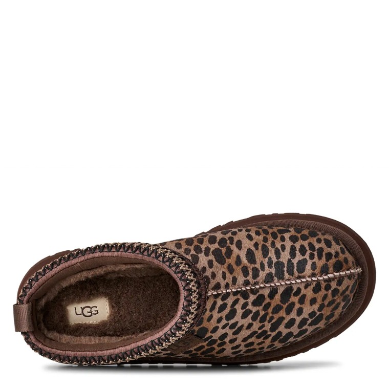 Sabot Tazz Caspian Ugg
