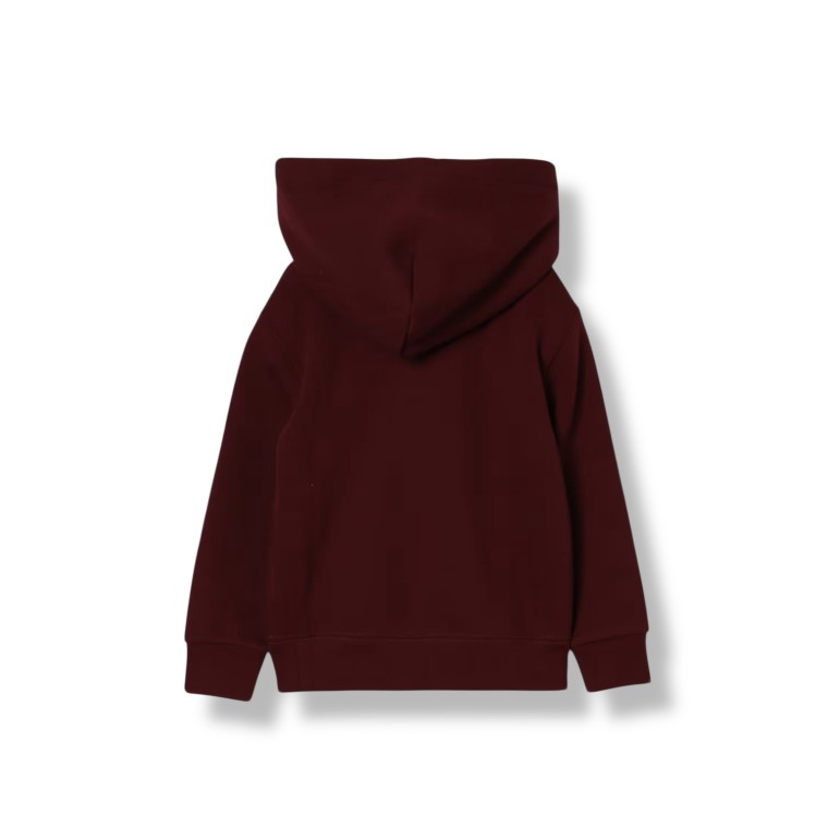 Felpa con cappuccio Polo Ralph Lauren in cotone bambino