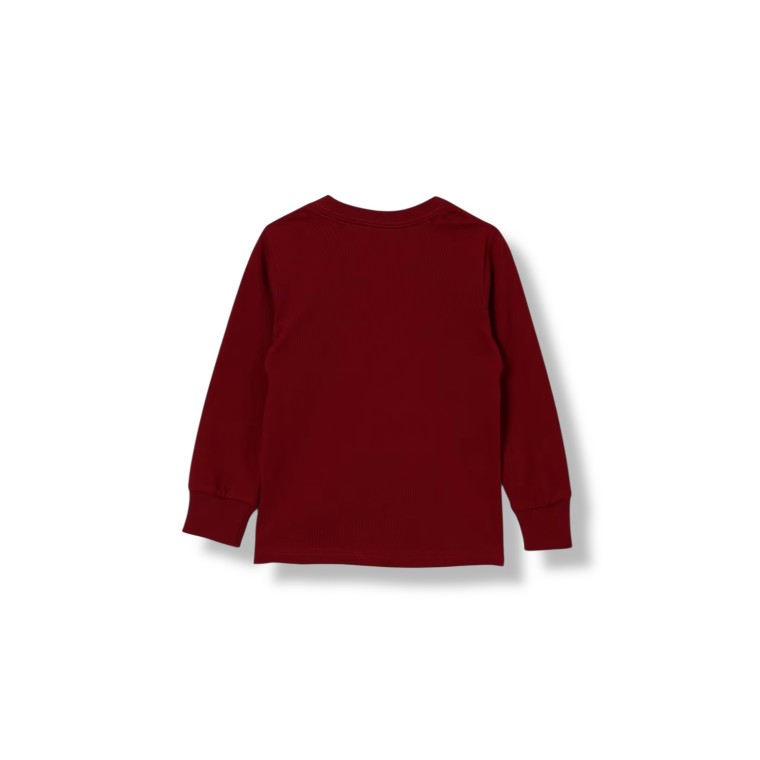 Felpa Polo Ralph Lauren in cotone con Teddy Polo bambino