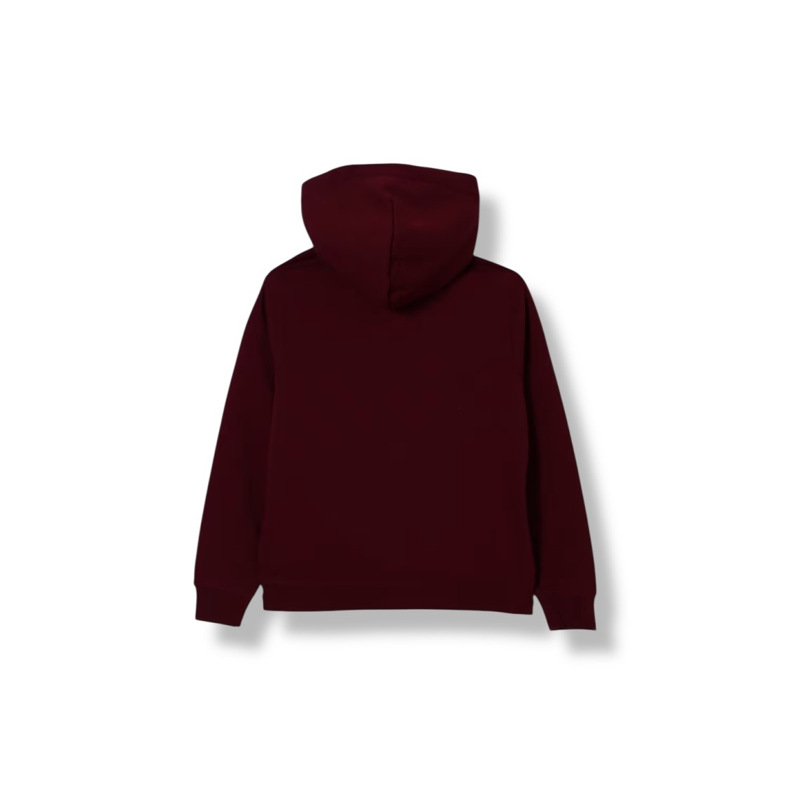 Felpa con cappuccio e stampa teddy Polo Ralph Lauren bambino