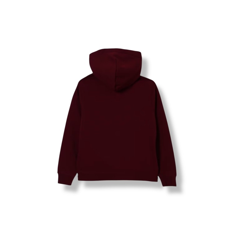 Felpa con cappuccio e stampa teddy Polo Ralph Lauren bambino