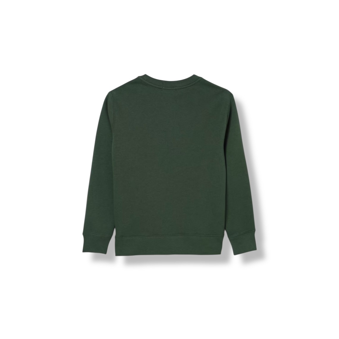 Felpa a girocollo con stampa Orso Polo Ralph Lauren bambino