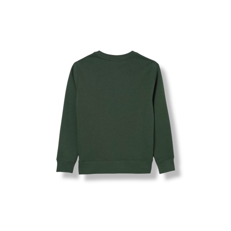 Felpa a girocollo con stampa Orso Polo Ralph Lauren bambino