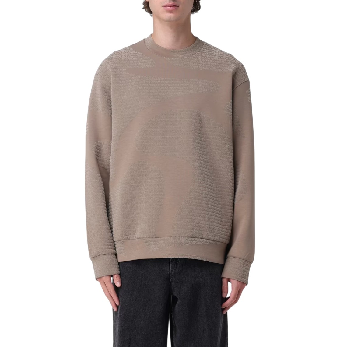 Felpa girocollo in cotone Emporio Armani