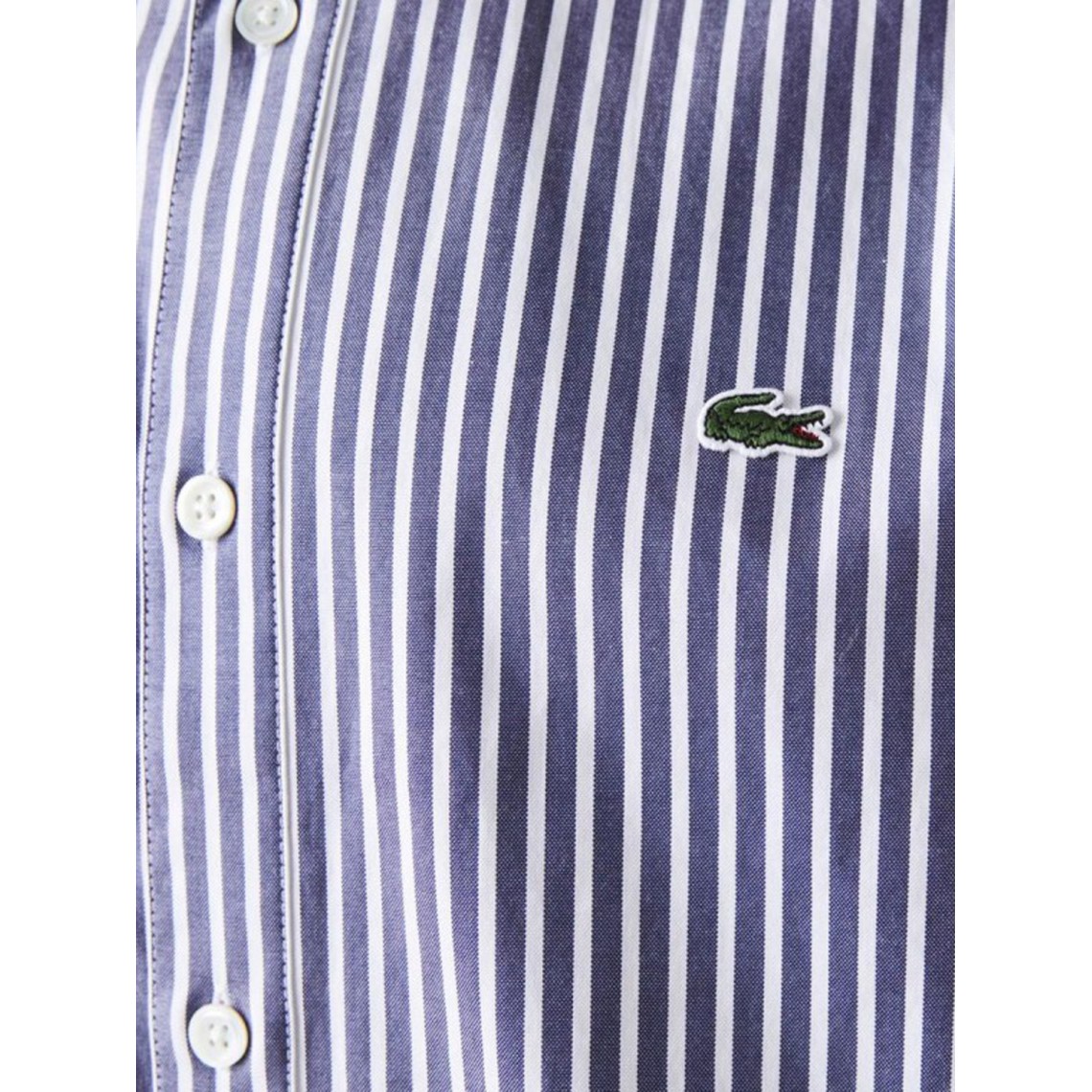 Camicia in Cotone a Righe Lacoste