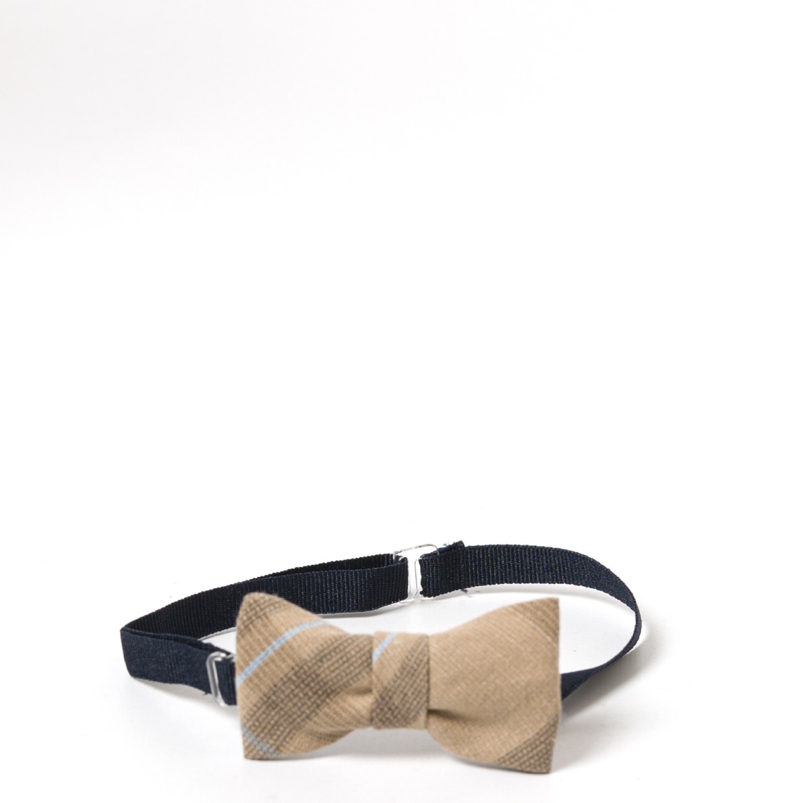 Papillon Jeckerson bambino